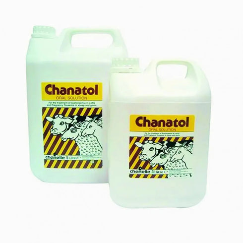2.5Lt Chanatol(Twin Lamb, Sway Back,Glucose Defic.